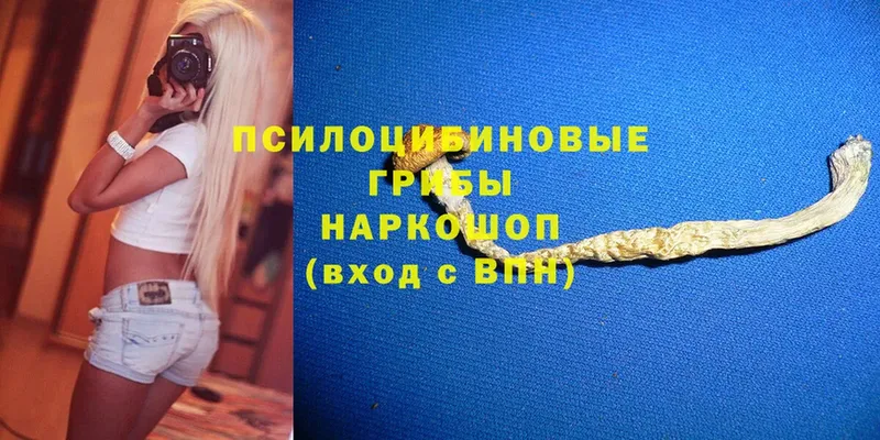 мега зеркало  Североуральск  Галлюциногенные грибы GOLDEN TEACHER  даркнет сайт 